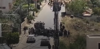 Israeli Livestock Theft West Bank: Systematic Attacks Target Palestinian Herders and Land