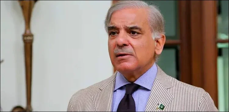 وزیر اعظم شہباز شریف کا امریکہ ایران مذاکرات پر بیان