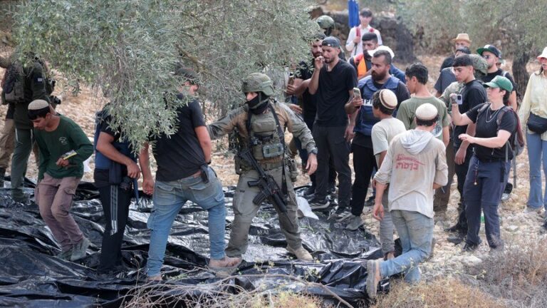 Olive Harvest Attacks: 9 Palestinians Hurt in West Bank
